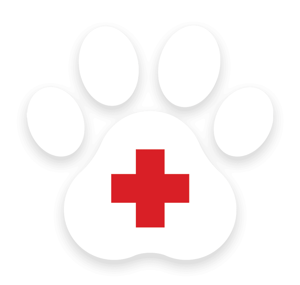 Paw Icon Emergency 24/7