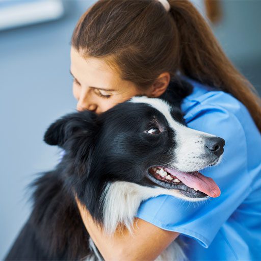 Vet Hugging Black Dog