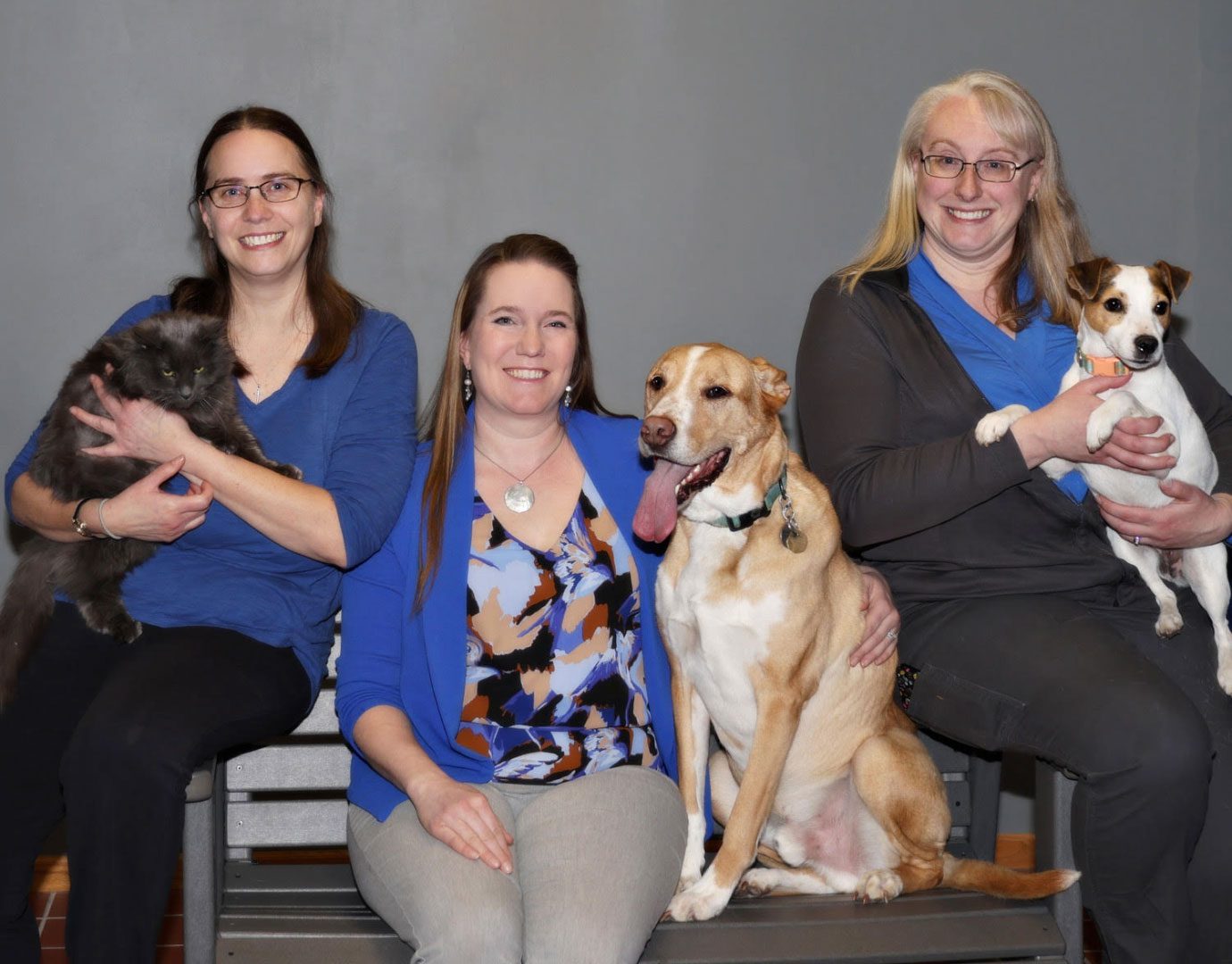 Three Lady Vets With Their Pets