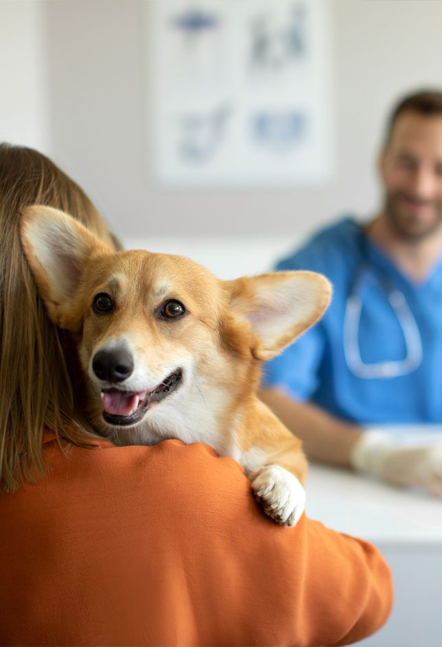 Happy Dog In Arms